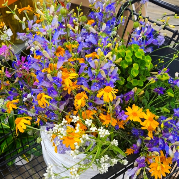 Meet your Posher, Katelyn - Picture 1 of 1